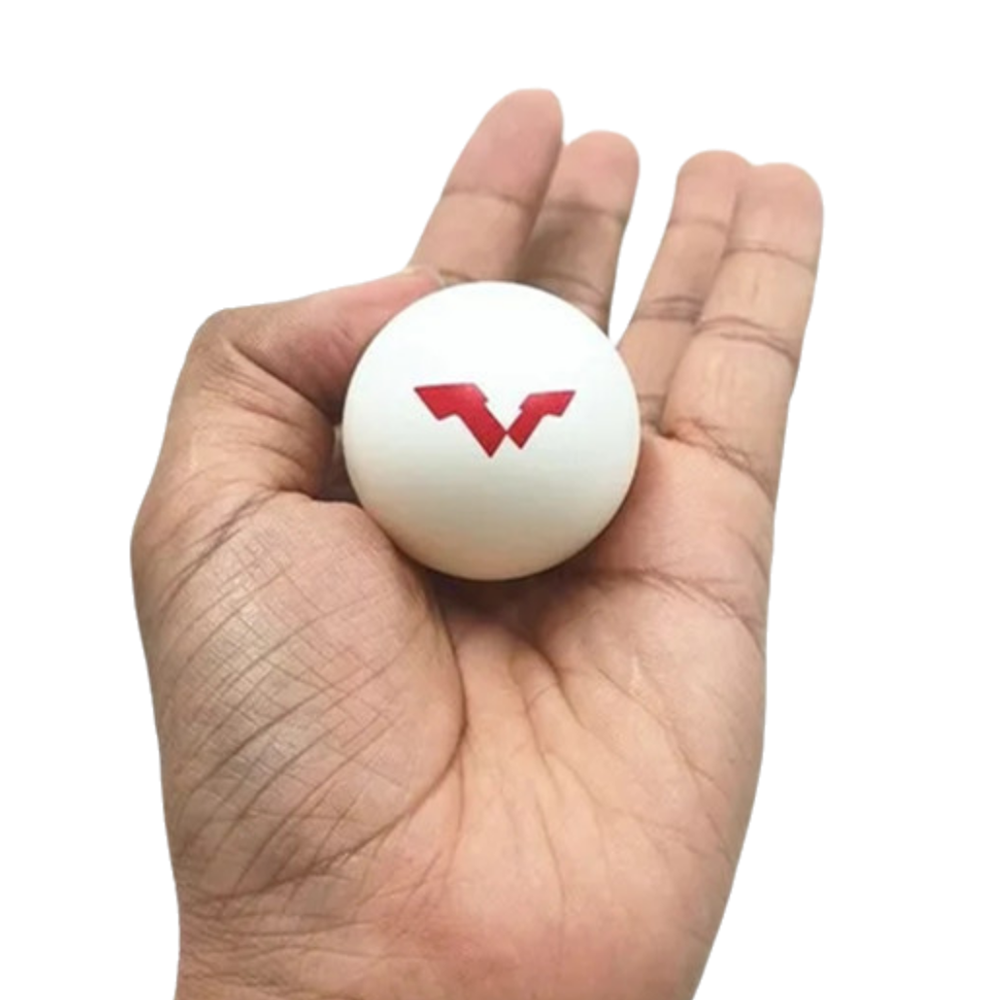 6 Pcs/Box DHS WTT Ping Pong Ba – Ping Pong Ball Set Bewertung und Preis