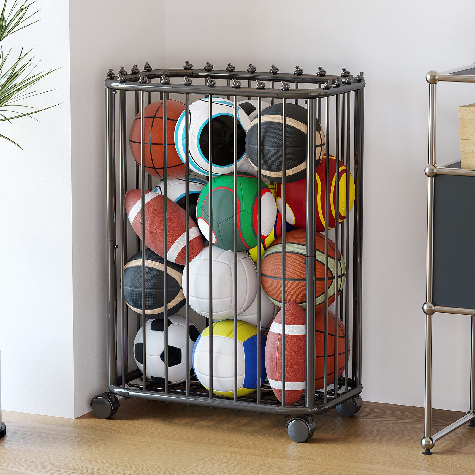 Basketball, Football, Tennis R – Sports Equipment Organizer Bewertung und Preis